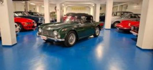 usato TRIUMPH TR4