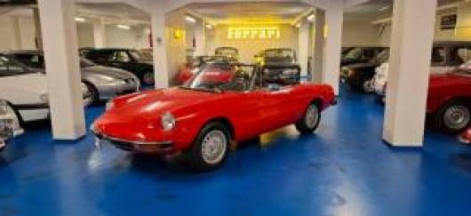 usato ALFA ROMEO Spider