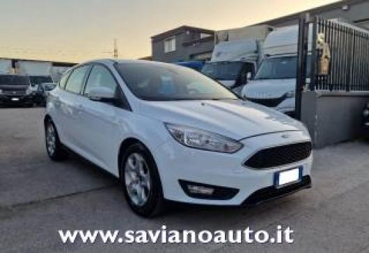 usato FORD Focus