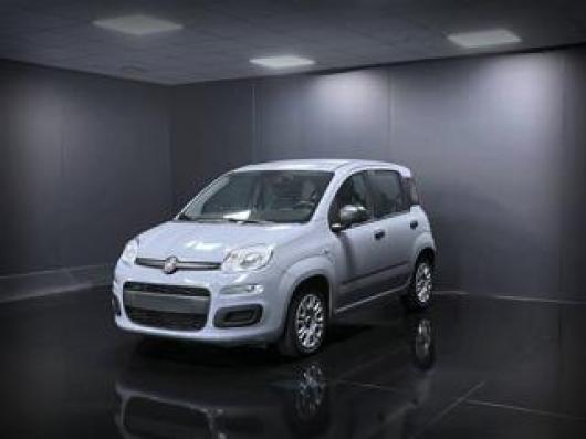 usato FIAT Panda