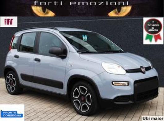 usato FIAT Panda