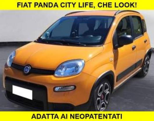 usato FIAT Panda