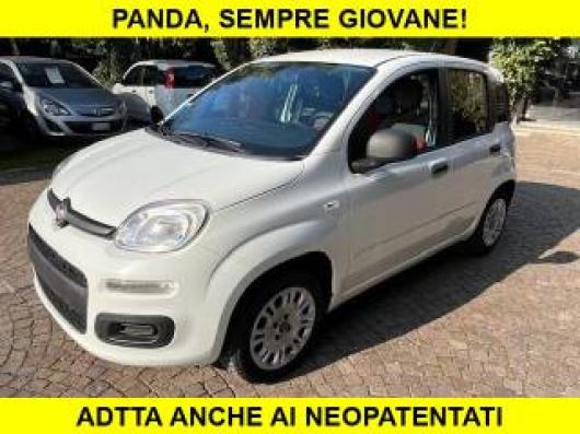 usato FIAT Panda