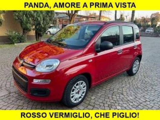 usato FIAT Panda