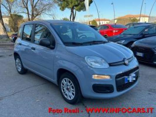 usato FIAT Panda