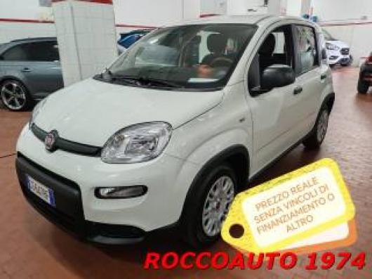 usato FIAT Panda