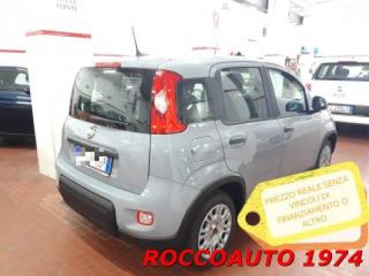 usato FIAT Panda