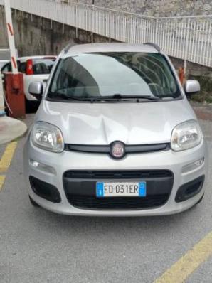 usato FIAT Panda