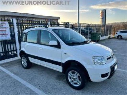 usato FIAT Panda