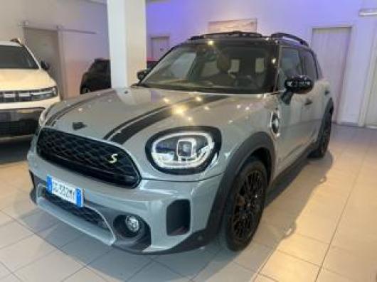 usato MINI Countryman