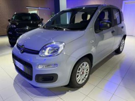 usato FIAT Panda