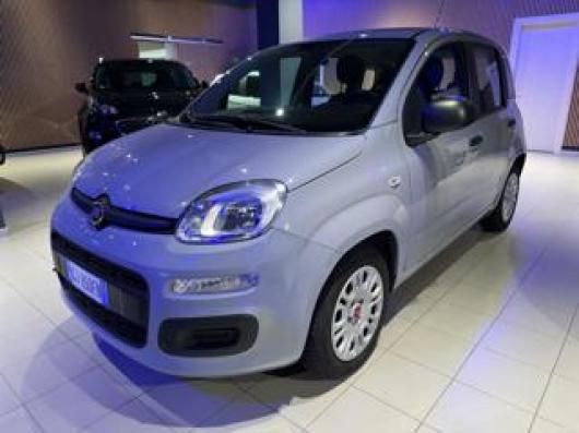 usato FIAT Panda