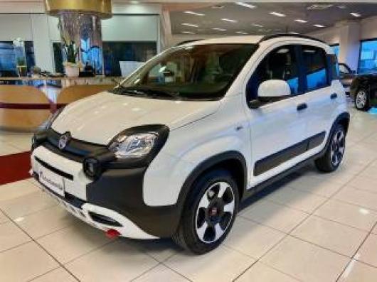 usato FIAT Panda