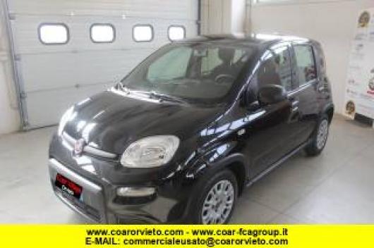 usato FIAT Panda