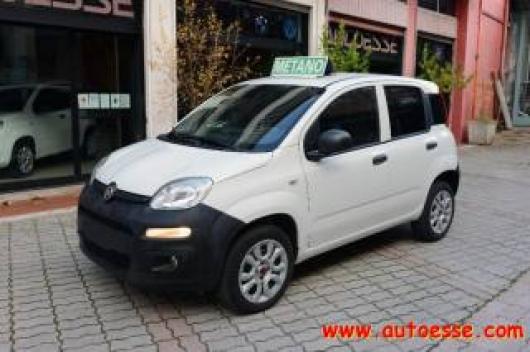 usato FIAT Panda