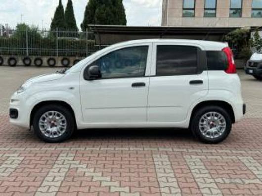 usato FIAT Panda