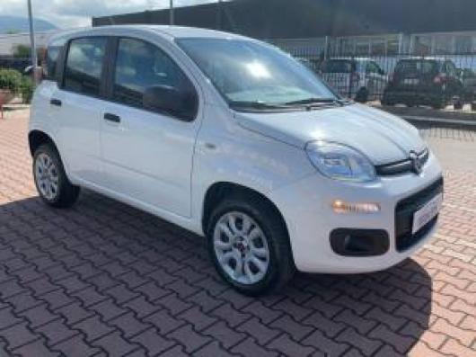 usato FIAT New Panda