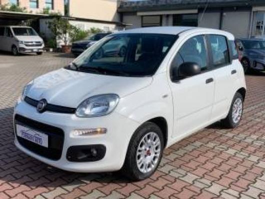 usato FIAT New Panda