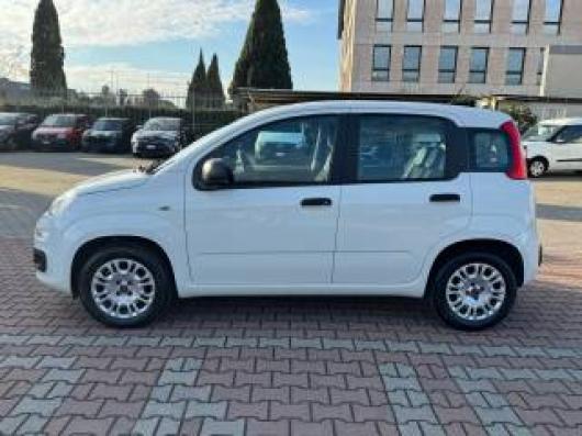 usato FIAT New Panda