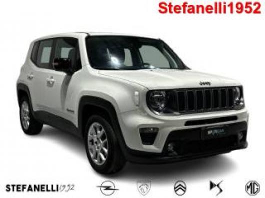 usato JEEP Renegade