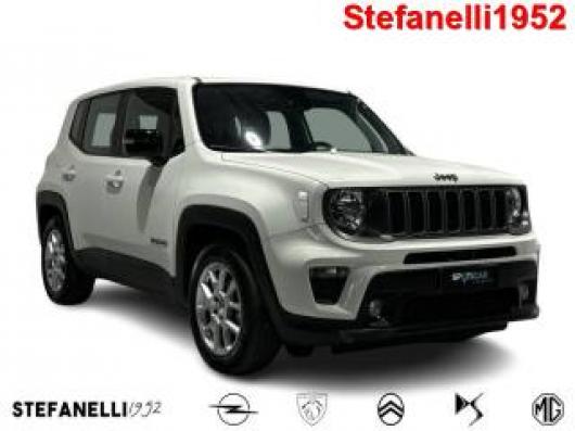 usato JEEP Renegade