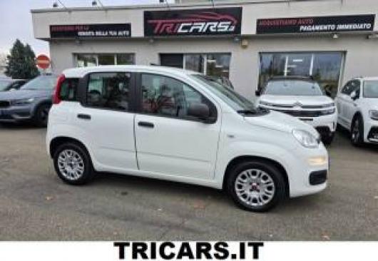 usato FIAT Panda