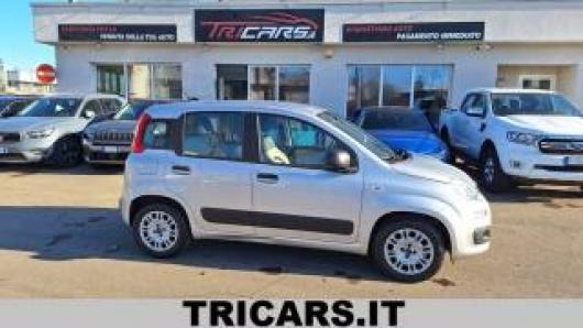 usato FIAT Panda