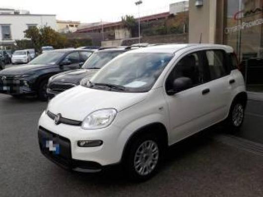 nuovo FIAT Panda