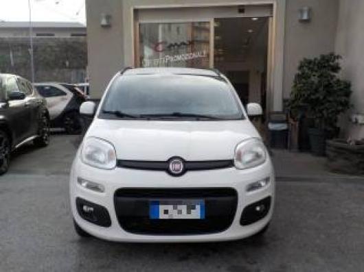 usato FIAT Panda