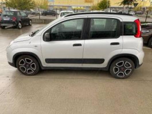 usato FIAT Panda