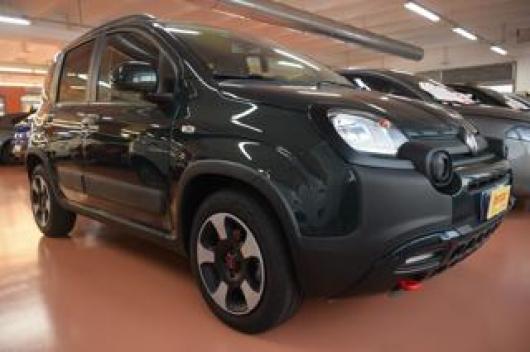 usato FIAT Panda Cross