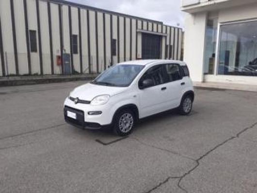 usato FIAT Panda