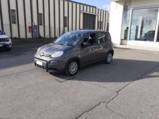 usato FIAT Panda