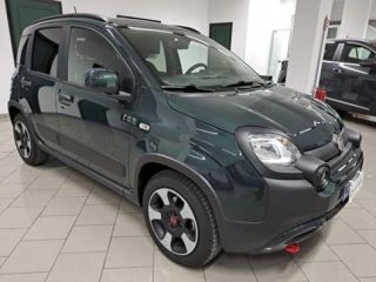 usato FIAT Panda Cross