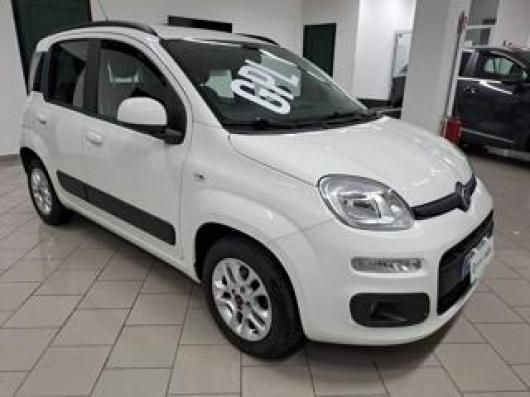 usato FIAT Panda