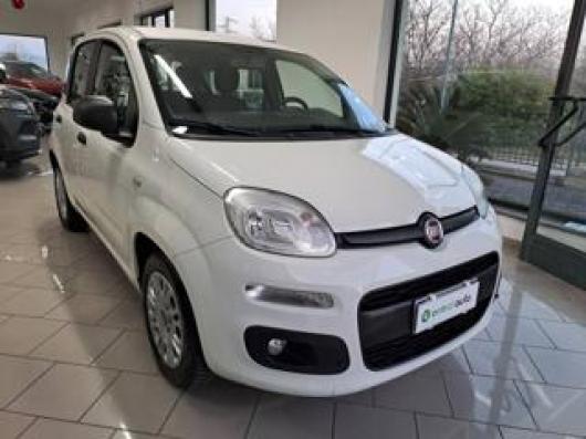 usato FIAT Panda