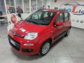 usato FIAT Panda