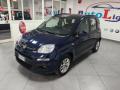 usato FIAT Panda