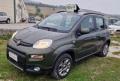 usato FIAT Panda