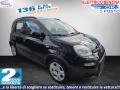 usato FIAT Panda