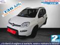 usato FIAT Panda