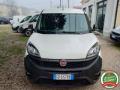 usato FIAT Doblo