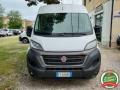 usato FIAT Ducato