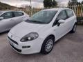 usato FIAT Punto