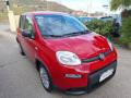 usato FIAT Panda