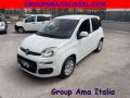 usato FIAT Panda