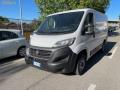 usato FIAT Ducato