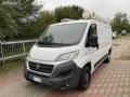 usato FIAT Ducato