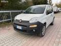 usato FIAT Panda