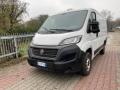 usato FIAT Ducato